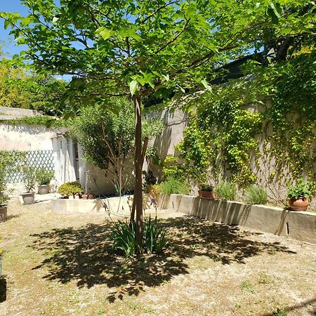 Appartement Au Coeur De Cassis Avec Jardin Exterior photo
